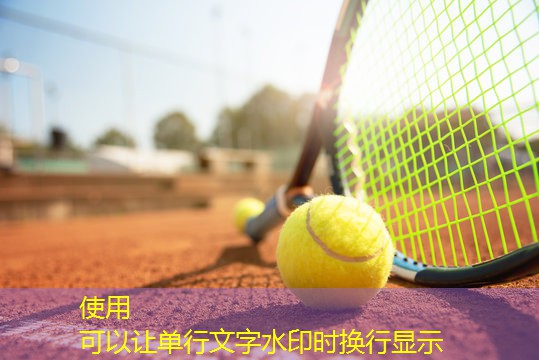 健身房合适女生使用的器材